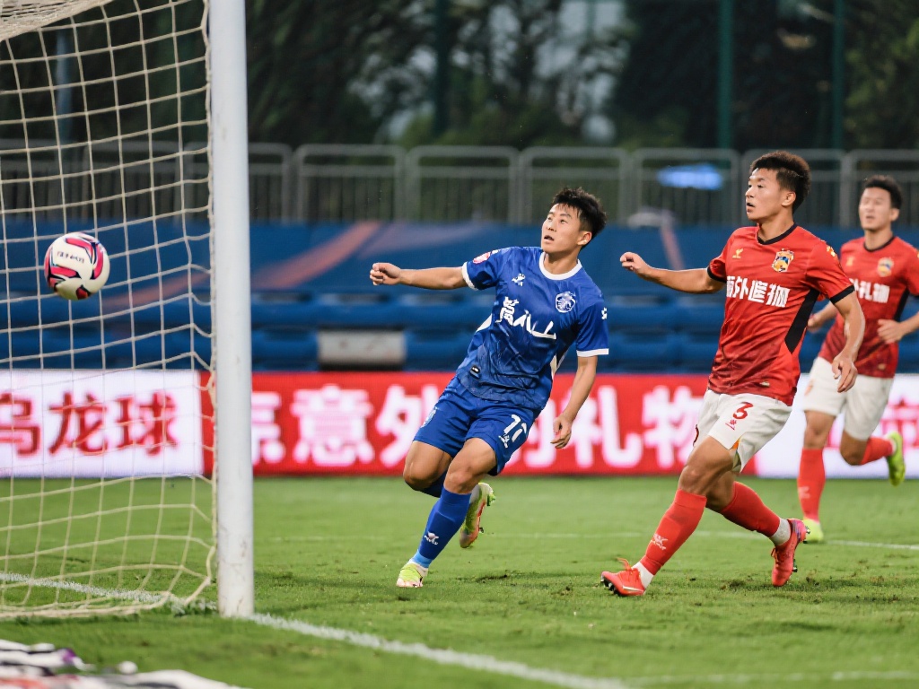 是理解整个 是理解整个